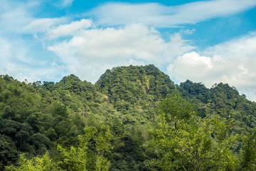 green forest covered mountain top under the cloudy blue sky