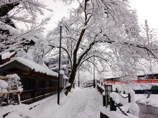 Naklejka premium The snow covered Japanese old town, Hida Takayama, Japan