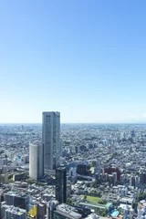 Foto op Plexiglas view of tokyo from shinjyuku highrise building  © EISAKU SHIRAYAMA