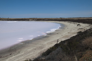 Chinocup Nature Reserve Western Australia, panorama  views of pink salt lake