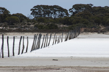 Chinocup Nature Reserve Western Australia, line of wooden fence posts crossing dry salt lake