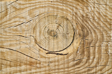 Naklejka premium Wooden Background