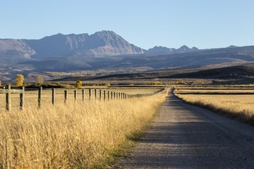 Road to the mountains 