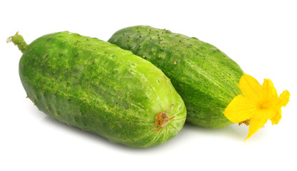Cucumbers isolated on white background.