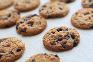 chocolate chip biscuit.