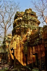 Taken in Ta Prohm temple, Siem Reap, Cambodia