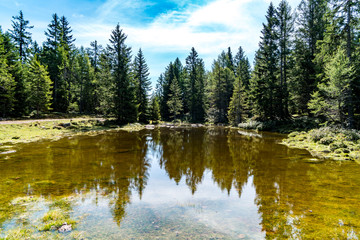 Bergsee mit Wald Spiegelung