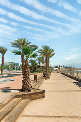 Fototapeta premium promenade in Eilat