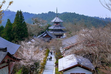 吉野山