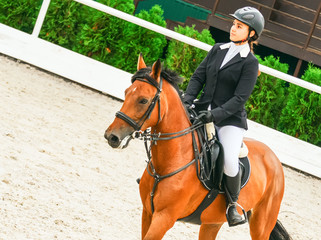 Beautiful girl on sorrel horse in jumping show, equestrian sports. Light-brown horse and young...