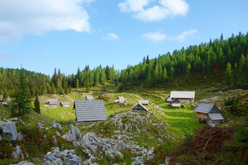 Dedno Polje Alpine Meadow in Bohinj with Shepherds huts in Triglav national park, Julian Alps, Slovenia