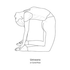 Ustrasana or Camel Pose. Vector.	