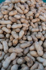 closeup of peanuts