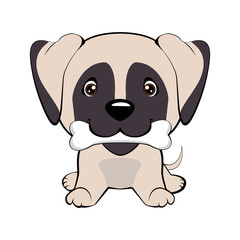 happy puppy with a bone waves a tail