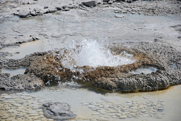 Yellowstone Nationalpark, Wyoming