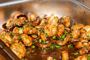 Grilled champignons mushrooms with parsley