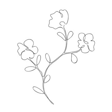 recommend clip art: The floral branch with three flowers, decorative summer, spring plant, cherry tree, sakura, one, continuous line art, black outline, vector single, isolated object on the white background