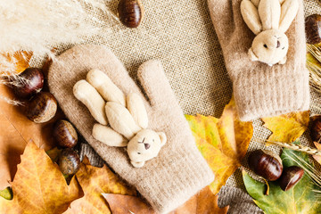 Autumn maple leaves, mittens with little teddy bear and chestnuts lying on a brown background. Top view. Flat lay.