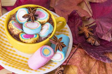 hot chocolate with marshmallows in ceramic cup over autumn leaves