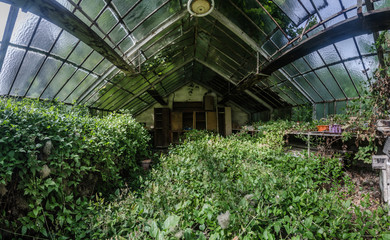 innenansicht von verlassenen glashaus panorama