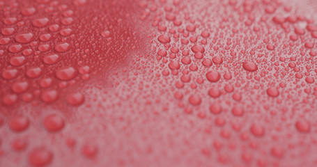 closeup of raindrops on ceramic coated red car with hydrophobic effect
