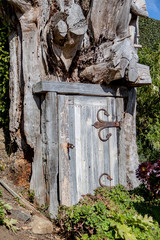Wooden door in tree trunk
