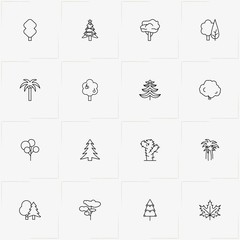 Trees line icon set with christmas tree, cactus and palm tree