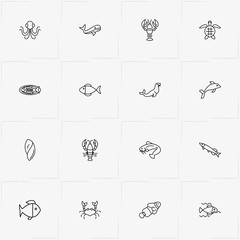Undersea World line icon set with whale , fish and dolphin © Orkhan