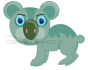 Cartoon of the wildlife koala on white background