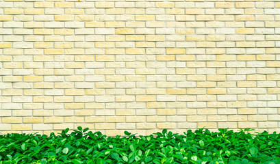 Yellow and white empty frame of rough brick wall decorate with green leaves at the bottom of frame. Exterior or interior vintage house brick wall with green bush fence. Architecture yellow background