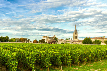 Wijngaarden van Saint Emilion, Wijngaarden van Bordeaux in Frankrijk