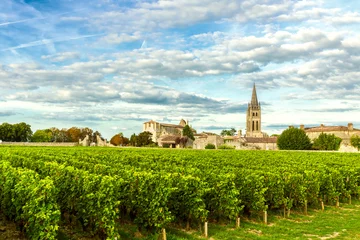 Fotobehang Wijngaarden van Saint Emilion, Wijngaarden van Bordeaux in Frankrijk © samael334