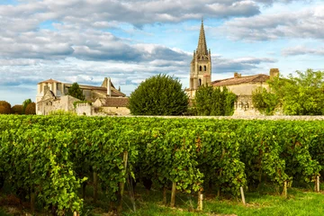 Fotobehang Zonnig landschap van bordeaux-wijngaarden in Saint Emilion in de regio Aquitaine, Frankrijk © samael334
