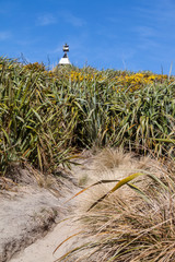 Beacon on top of flax filled hill