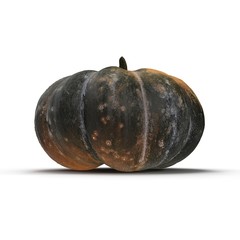 Green Pumpkin Isolated On White Background. 3D Illustration
