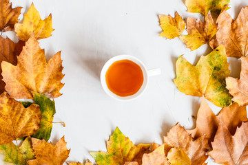 Autumn maple leaves and cup of tea isolated on a gray background. Top view. Flat lay.