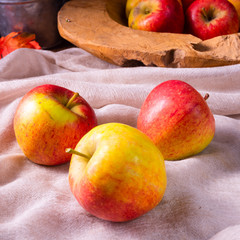 Malus sylvestris, the tasty  European crab apple,