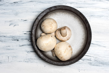 top view - rustic plate of mushrooms on white wooden background