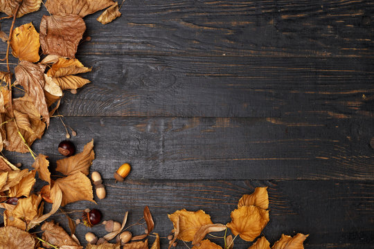 Autumn Composition On A Dark Wooden Table. Top View. Space For Text.