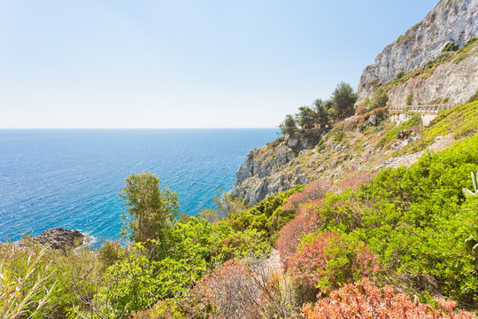 Apulia, Leuca, Grotto of Ciolo - Vegetation at the coastline of Grotto Ciolo