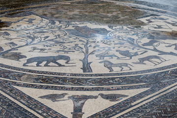 Ancient roman Volubils ruins and mosaics