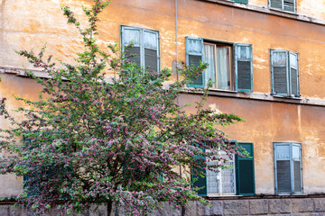 Fototapeta na wymiar Residentail aprtment buildings in the suburb of Garbatella