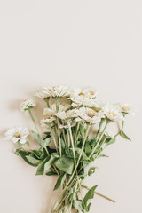 Cynicism flowers bouquet on beige background. Flat lay, top view.