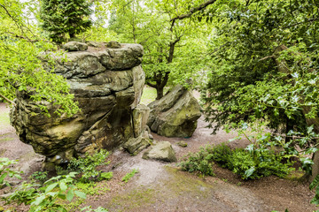 Fototapeta na wymiar The magnificent sand stone High Rocks in Tunbridge Wells. A great place to walk around or go rock climbing.