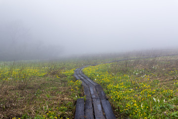 霧の沼の原湿原／長野県飯山市