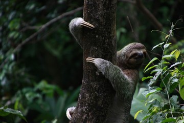 Costa Rica