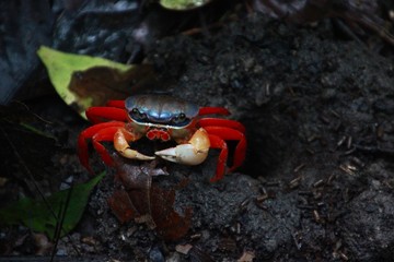 Costa Rica
