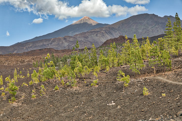 Teide Teneriffa bei Mirador de Samara
