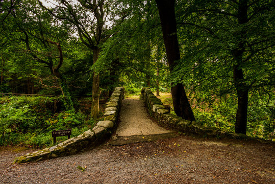 The Path over Foley's Bridge.