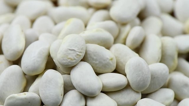 White beans rotation